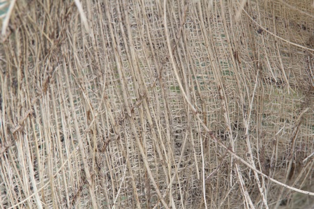 texture backgroundの写真素材
