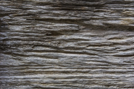 real wooden textureの写真素材