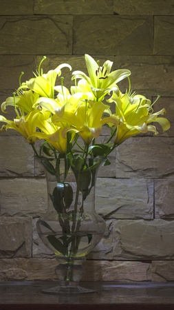 Lily flower - purity and refined beautyの写真素材