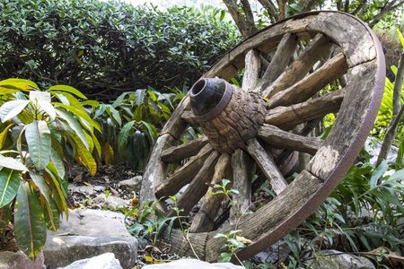 BULLOCK CAR WHEELの写真素材
