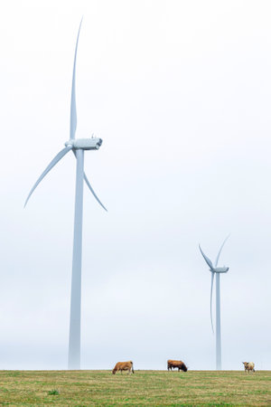 A wind turbine is a device that transforms the kinetic energy of the wind into mechanical energy, called wind energy, which is then most often transformed into electrical energy.の写真素材