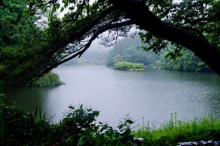 rain lake の写真素材