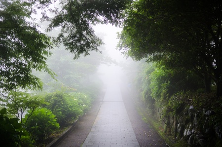 old way of a rainy day の写真素材