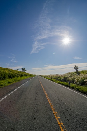 mountain path of summer の写真素材