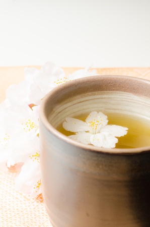 petal of a teacup and a cherry treeの写真素材