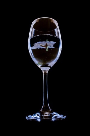 wineglass and flower of a cherry tree の写真素材