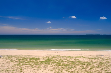 sea of summer の写真素材
