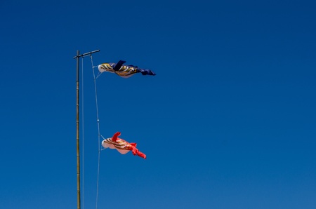 carp streamer and skyの写真素材