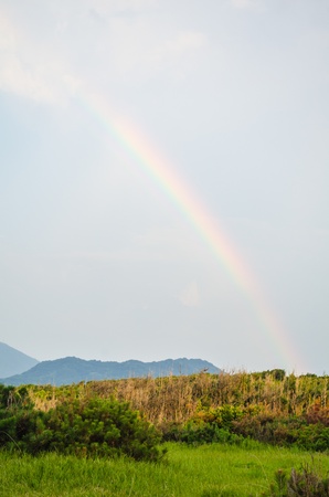 Rainbowの写真素材