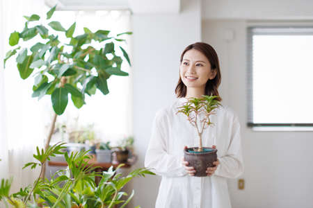 Young Asian woman holding a plantの写真素材