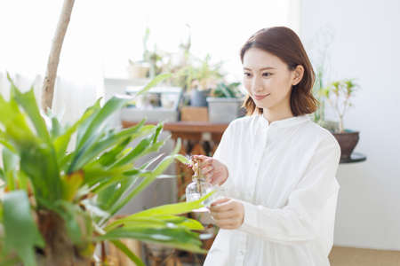Young Asian woman spraying water on the plantの写真素材