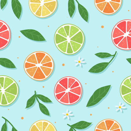 Sliced fruit backgroundのイラスト素材