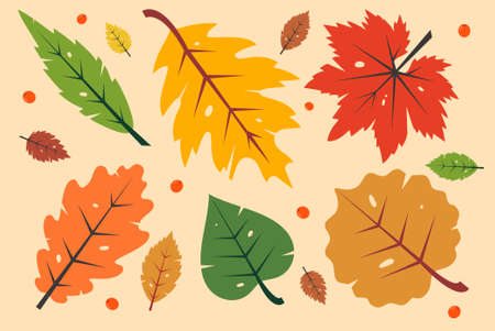 Autumn leavesのイラスト素材