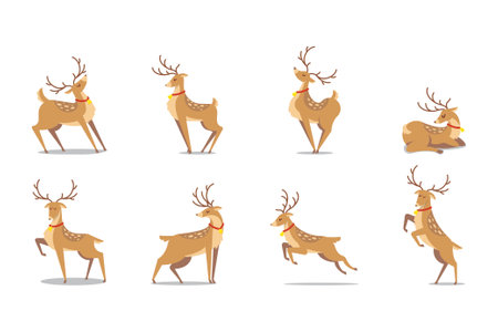 Beautiful reindeer posing on white backgroundのイラスト素材