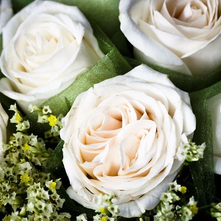close-up of the wedding rose.の写真素材