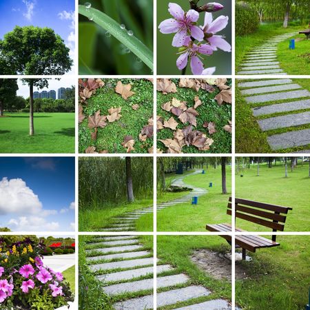 nature background about the scene of city in garden and park.の写真素材