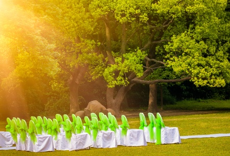 the outdoor wedding of a park.の写真素材