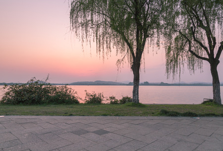 view of sunset in parkの写真素材