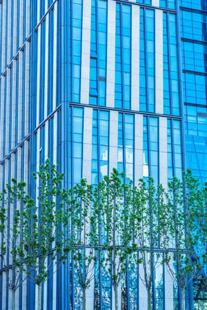 row of trees in front of glass buildingの写真素材