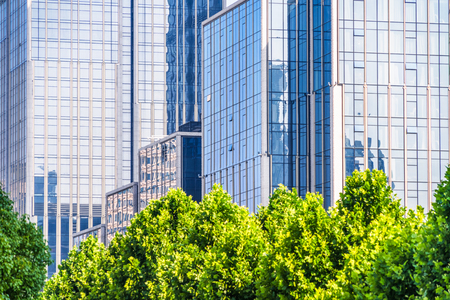 green trees front of modern glass office buildingの写真素材