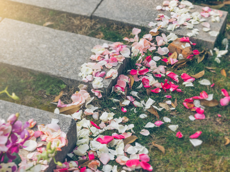 fallen flower petals on the floor.の写真素材