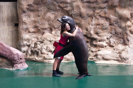 seal show at the zoo in Albufeira, Portugal. 3/5/2012.のeditorial素材