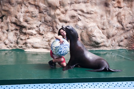 seal show at the zoo in Albufeira, Portugal. 3/5/2012.のeditorial素材
