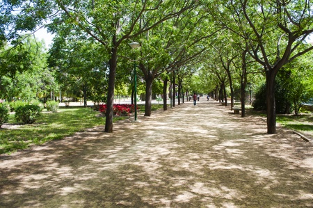 people walking in a park in the city