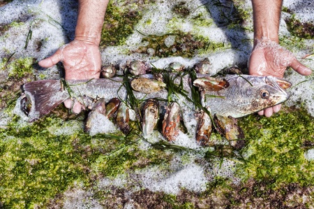 seefood and croaker