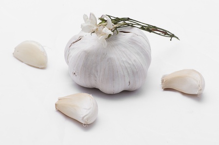 garlic isolated on white backgroundの写真素材