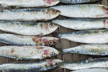 fresh sardines on a barbacueの写真素材