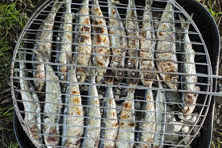 fresh sardines on a barbacueの写真素材