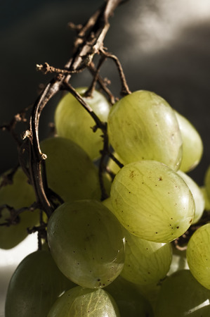 Ripe grapes on sunny backgroundの写真素材
