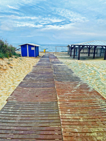 beach and tropical sea in oman coastlineの写真素材