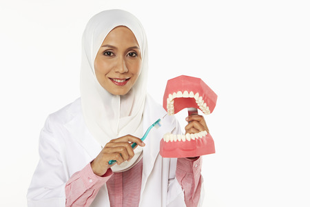 Dentist demonstrating how to brush teethの写真素材