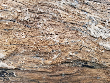 Old wood backgroundの写真素材