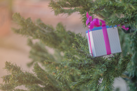 on selective focus of Gift box on Christmas treesの写真素材