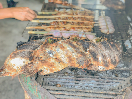 Salt Grilled Fish and Grilled chicken wingsの写真素材