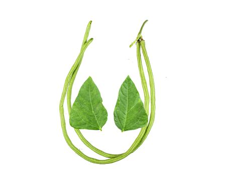 Green bean leave and pods of the beans on isolated white background. dicut