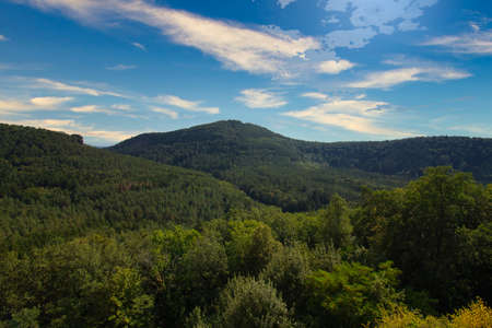 beautiful view into the Palatinate Forest