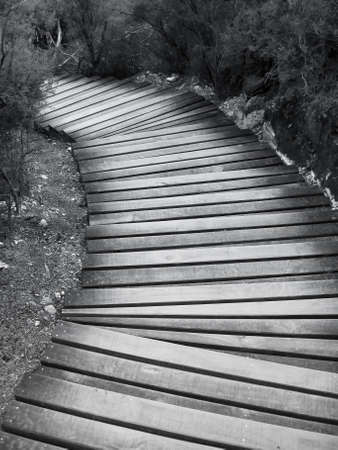 A boardwalk way in the wonderland of the Wai-o-tapu geothermal area, near Rotorua, New Zealand, north islandの写真素材