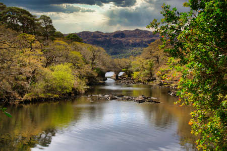 At overgrown bridge over a river in Killarney National Park, Ireland. Ancient Bridge with a dramatic...