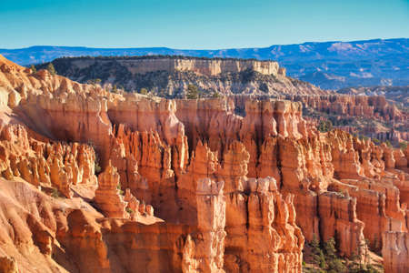 The Bryce Canyon National Park, Utah, United States fantastic red hoodoos and bright lightの写真素材