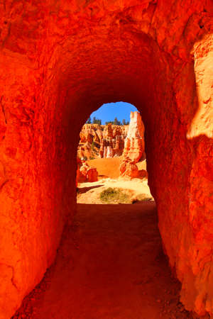The Bryce Canyon National Park, Utah, United States fantastic red hoodoos and bright light