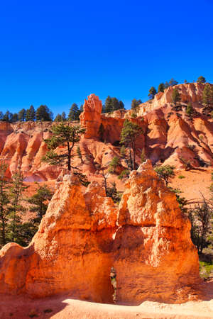 The Bryce Canyon National Park, Utah, United States fantastic red hoodoos and bright lightの写真素材