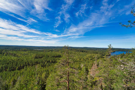 A Great view from the top of a hill. Looking out over the Swedish lake. Nature during the summer.の写真素材