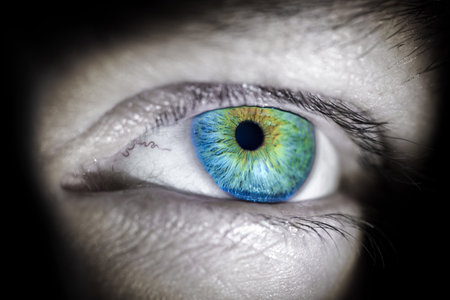 CloseUp of Blue and Green Human Eye with Detailed Iris and Pupilの写真素材