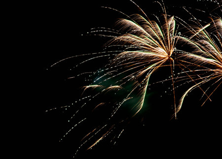Photographer captures delicate motion of fireworks resembling palms in sky