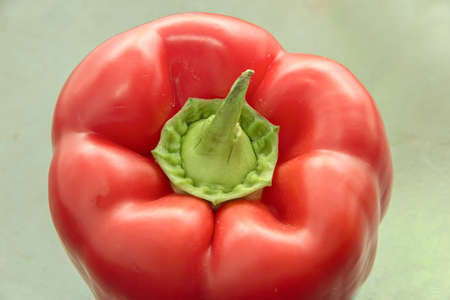 bright red pepper with a green twig, close picture, the background is blurred and darkの写真素材