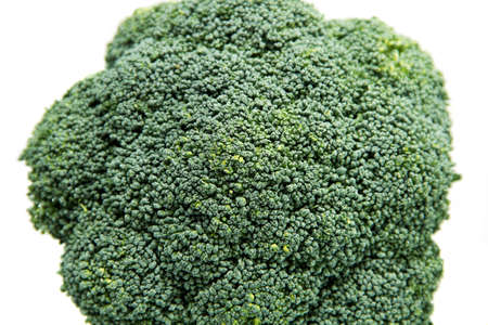 broccoli sprouts, green, on white background, isolated,